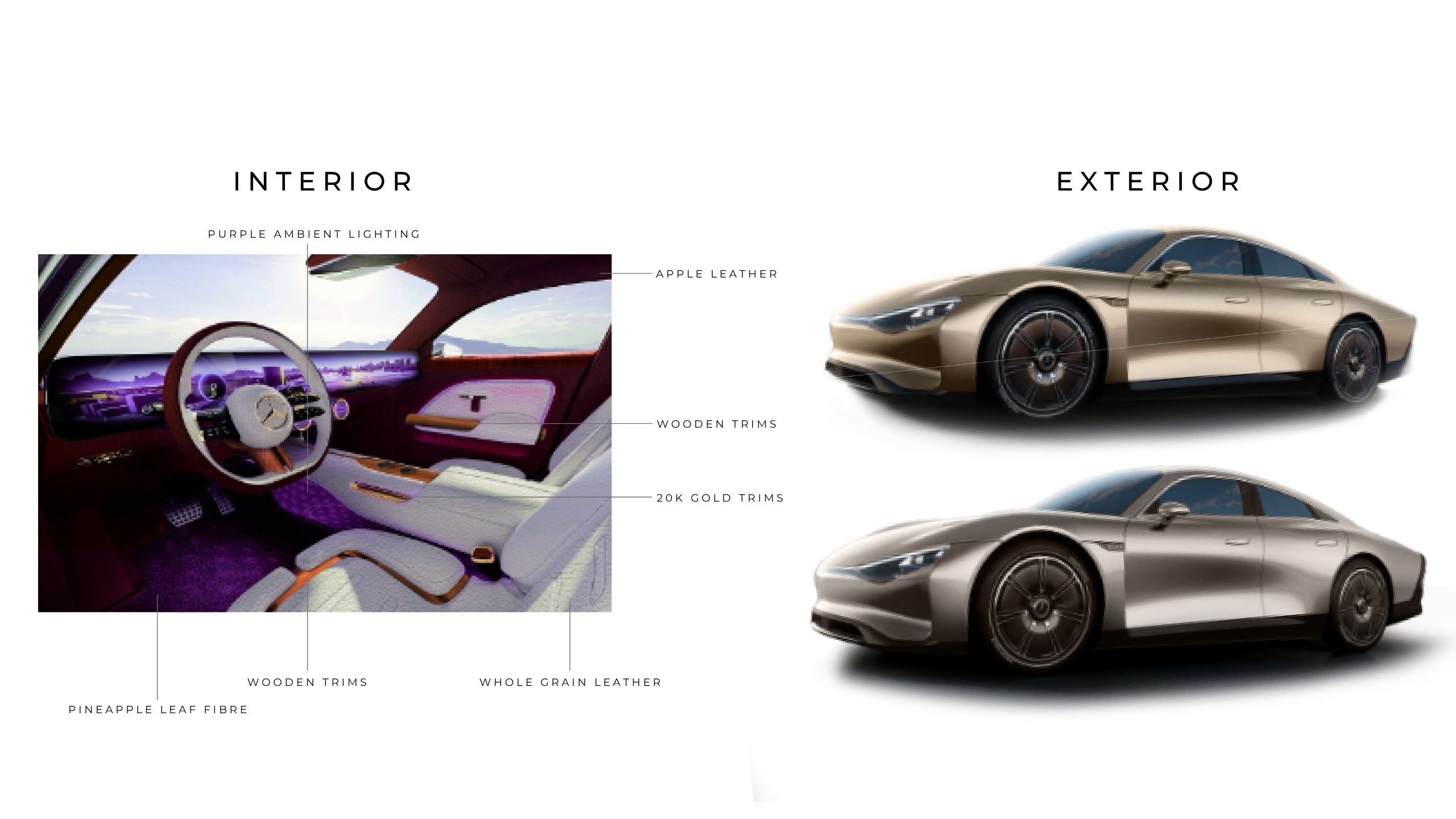 Mercedes CMF — Portfolio